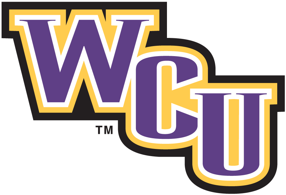 Western Carolina Catamounts 1996-2007 Wordmark Logo v5 DIY iron on transfer (heat transfer)